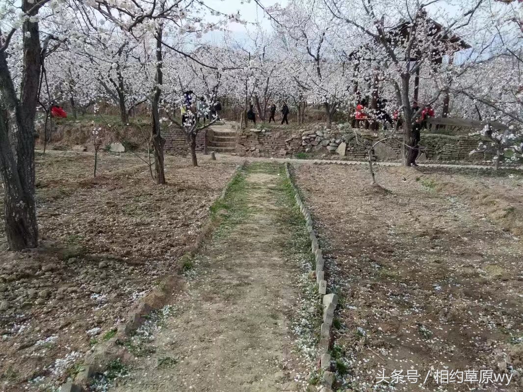 咸阳礼泉烟霞视频,礼泉烟霞洞风景视频