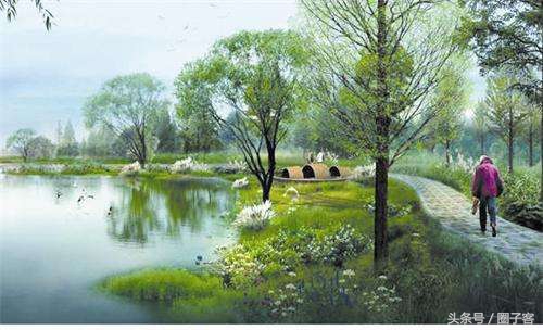 一个人在农村轻轻松松赚几十万,农村年轻人不出门打工在家挣钱