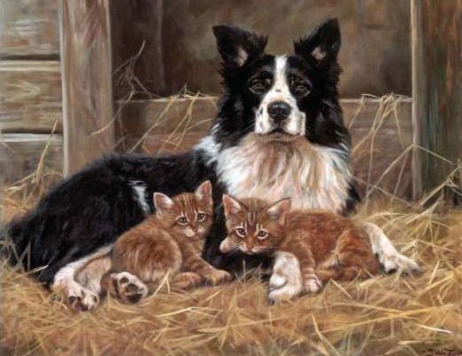 诗句关于狗,《狗》的诗词