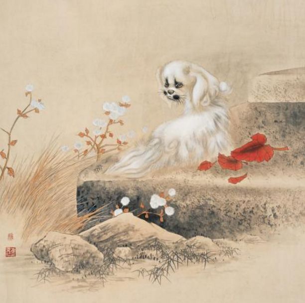 诗句关于狗,《狗》的诗词