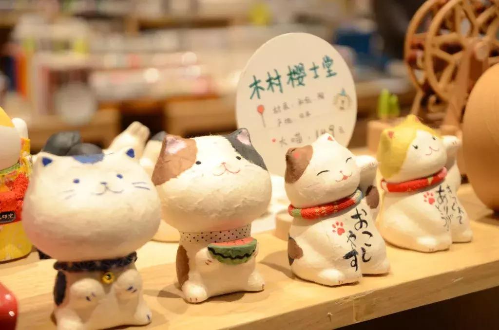 杭州可以撸猫的店,杭州撸猫地方推荐