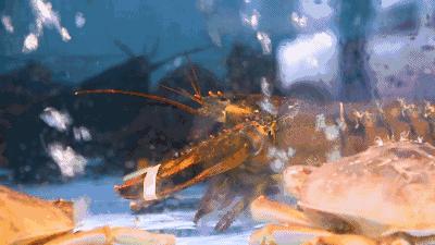 娉夊窞甯傚尯鍝簺姣旇緝濂界殑娴烽矞閰掓ゼ,娉夊窞娴烽矞缇庨鎺掕姒滃墠鍗佸悕