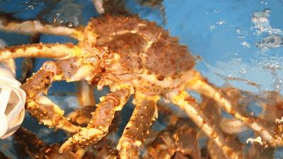 娉夊窞甯傚尯鍝簺姣旇緝濂界殑娴烽矞閰掓ゼ,娉夊窞娴烽矞缇庨鎺掕姒滃墠鍗佸悕