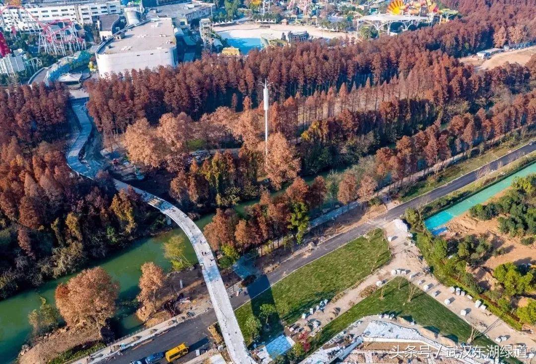 百里绿道的视频,百里芳华绿道