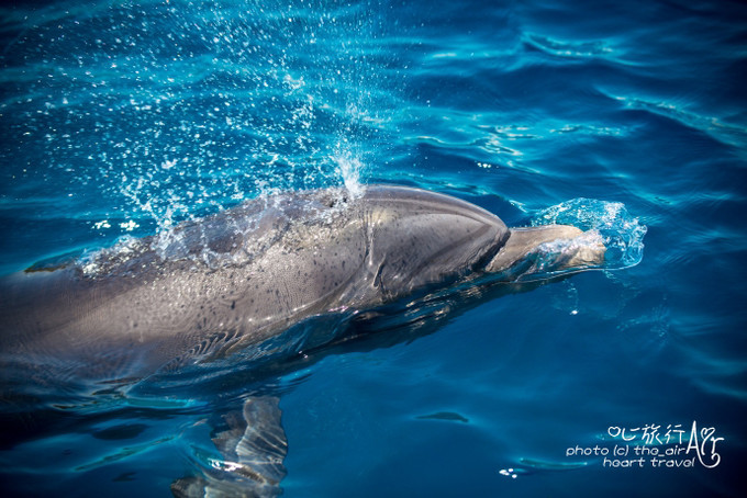 以色列三千年历史,以色列穿越时空项目