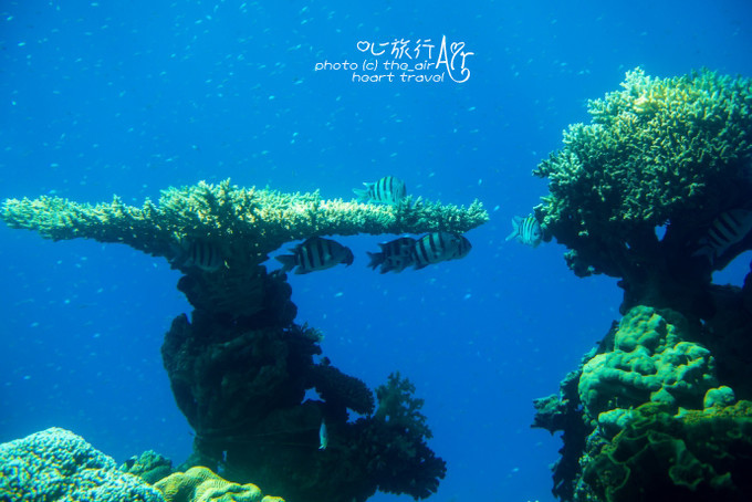 以色列三千年历史,以色列穿越时空项目