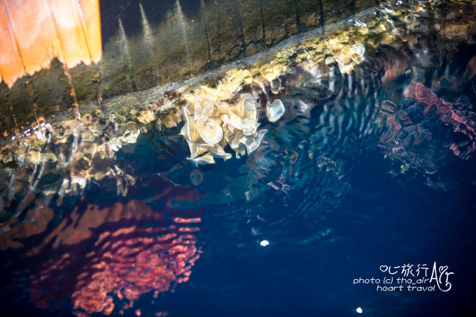 以色列三千年历史,以色列穿越时空项目