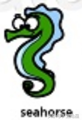 30个动物英语单词视频,动物的英语单词常见100个