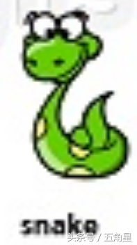 30个动物英语单词视频,动物的英语单词常见100个