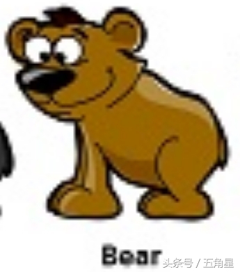 30个动物英语单词视频,动物的英语单词常见100个