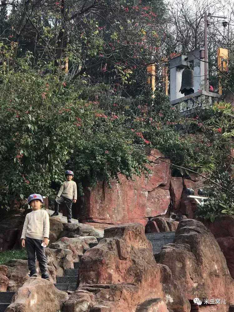 红色传承：双宝长征路——遵义、猴场、茅台、苟坝