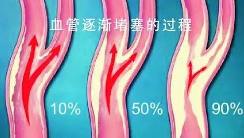 香港预适应告诉你身体不好的真相在这里