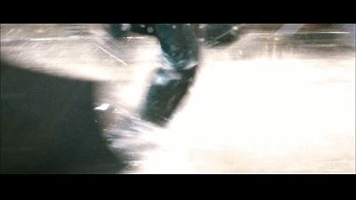 李连杰青蜂侠谁厉害,李连杰甄子丹电影英雄