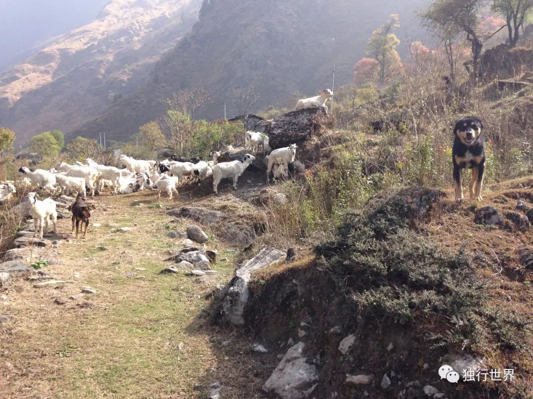 当你还在为生活抱怨,当你还在抱怨生活不易的时候