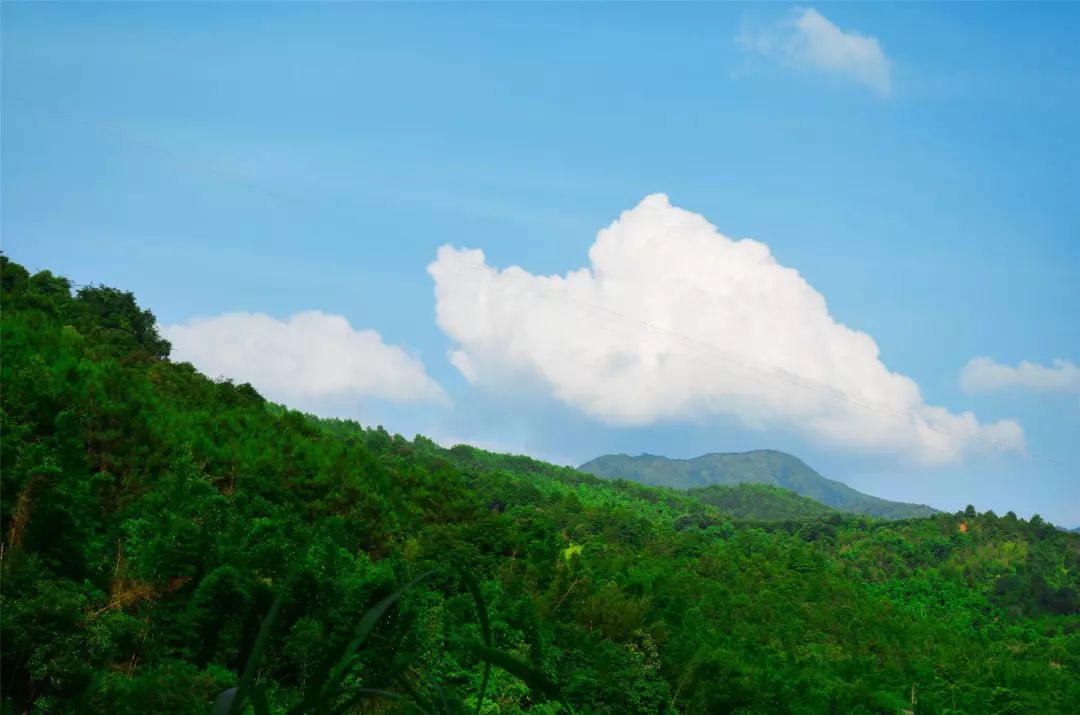 福利丨粤北越北,风景更美,邀你到丹霞灵溪过个红红火火东北年