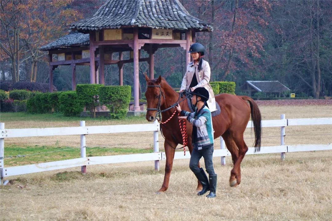 福利丨粤北越北,风景更美,邀你到丹霞灵溪过个红红火火东北年