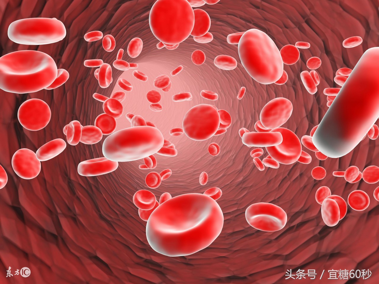 以苦制甜治疗糖尿病,苦酸制甜对糖尿病有用吗