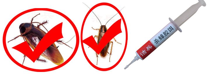 广东蟑螂药排行,蟑螂药哪种效果最好用