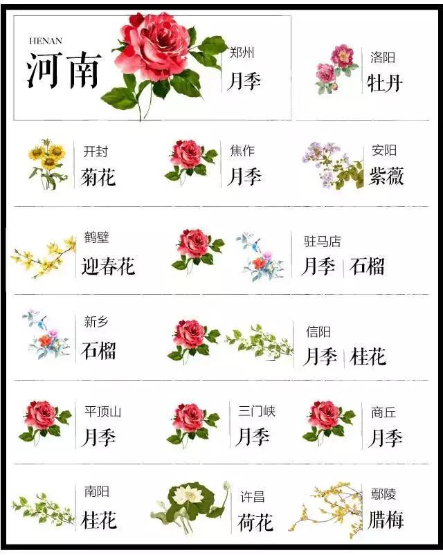 盘点史上最全中国各城市市花,中国各大城市的市花分别是什么