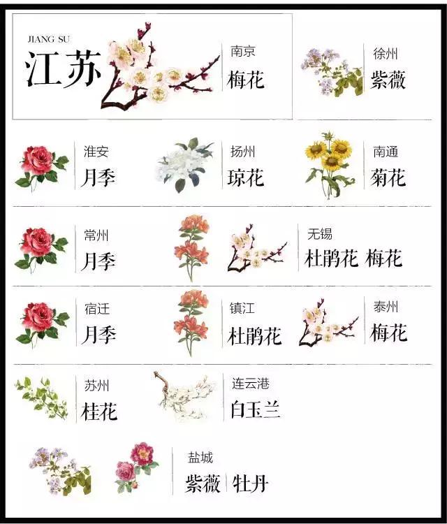 盘点史上最全中国各城市市花,中国各大城市的市花分别是什么
