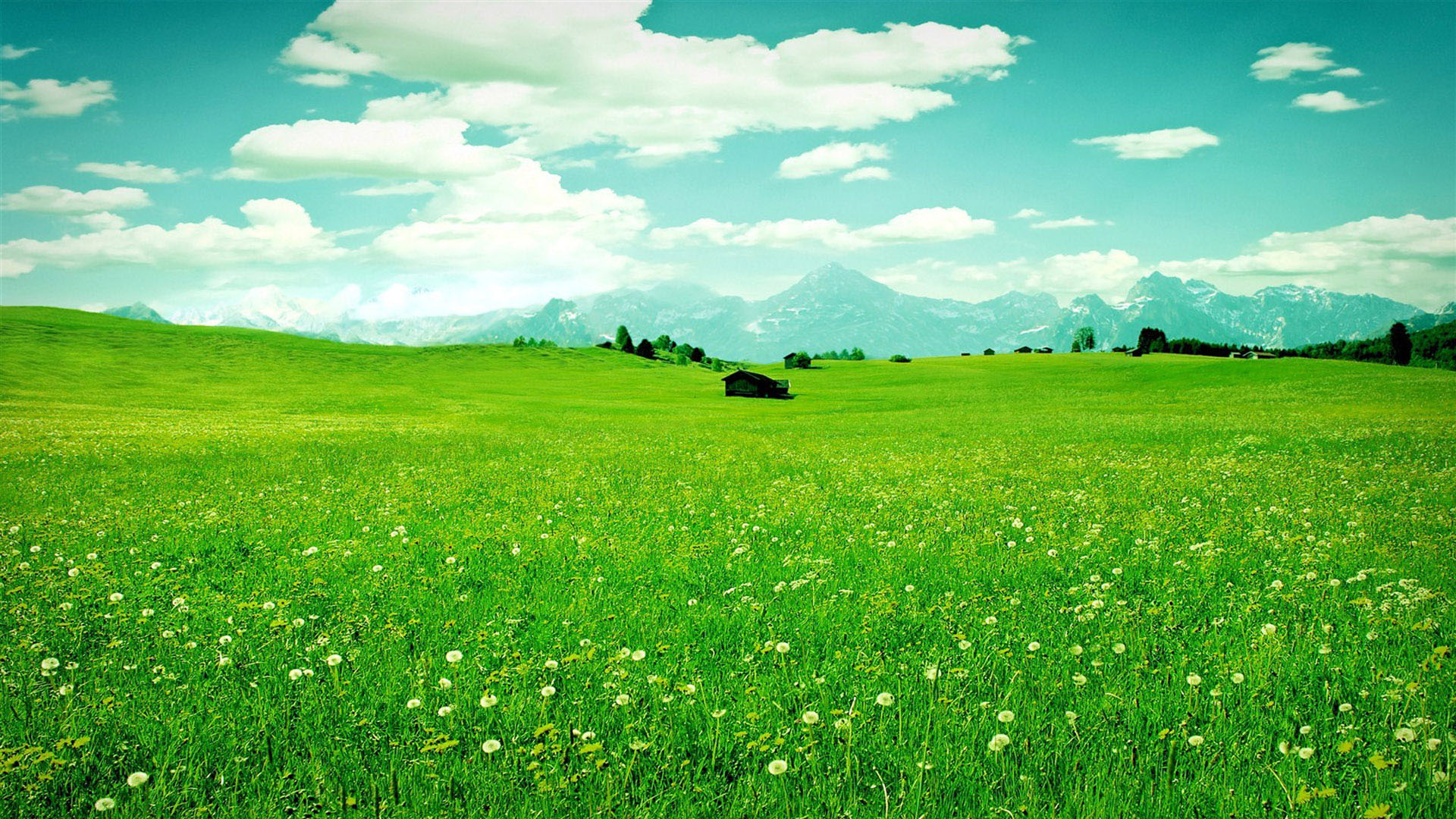 爱情美文柴米油盐,婚姻柴米油盐的美文