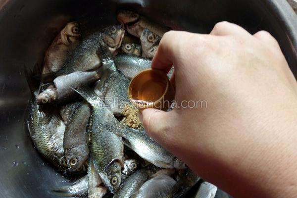 适合所有人吃刺少营养好的鱼,细鳞鱼怎么做鱼刺少