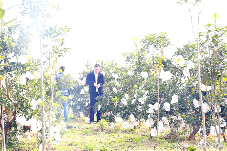 苦守荒山数十载,宝剑锋从磨砺出!