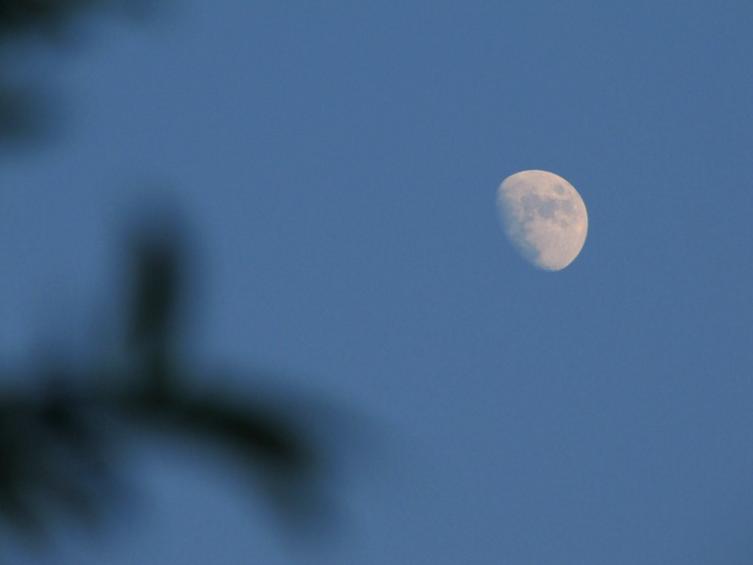 顾城的门前读诗,顾城的经典诗句感悟