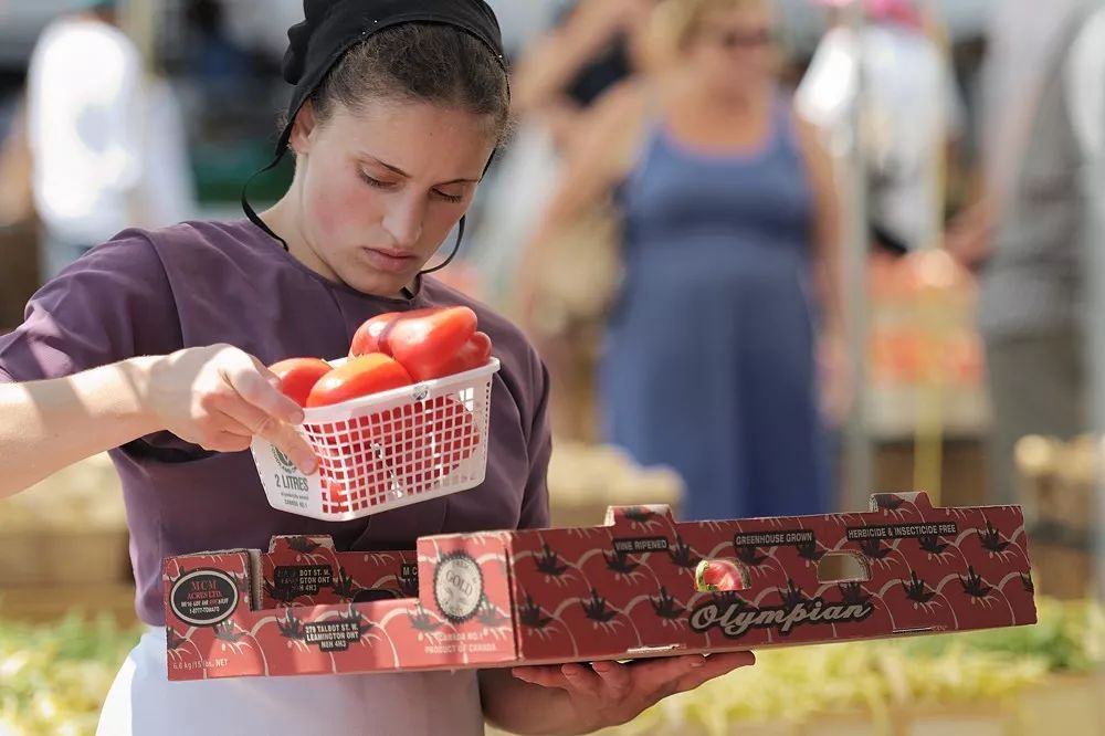 加拿大旅游一定要去的几个地方,加拿大安大略旅游攻略