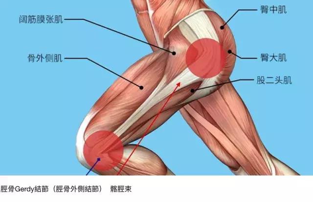 运动完膝盖感觉肿胀,运动完膝盖会响