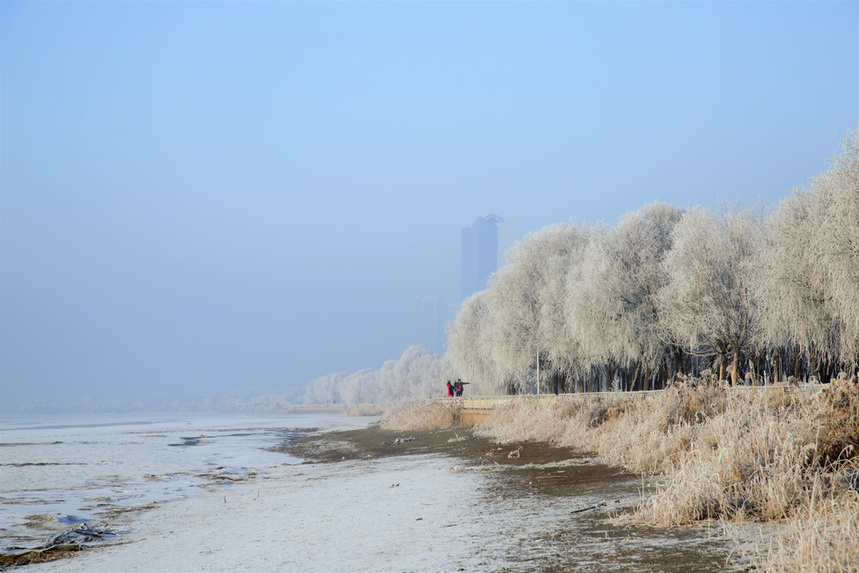 最好的婚姻是有一定物质基础的吗,没有物质的婚姻会过得很辛苦