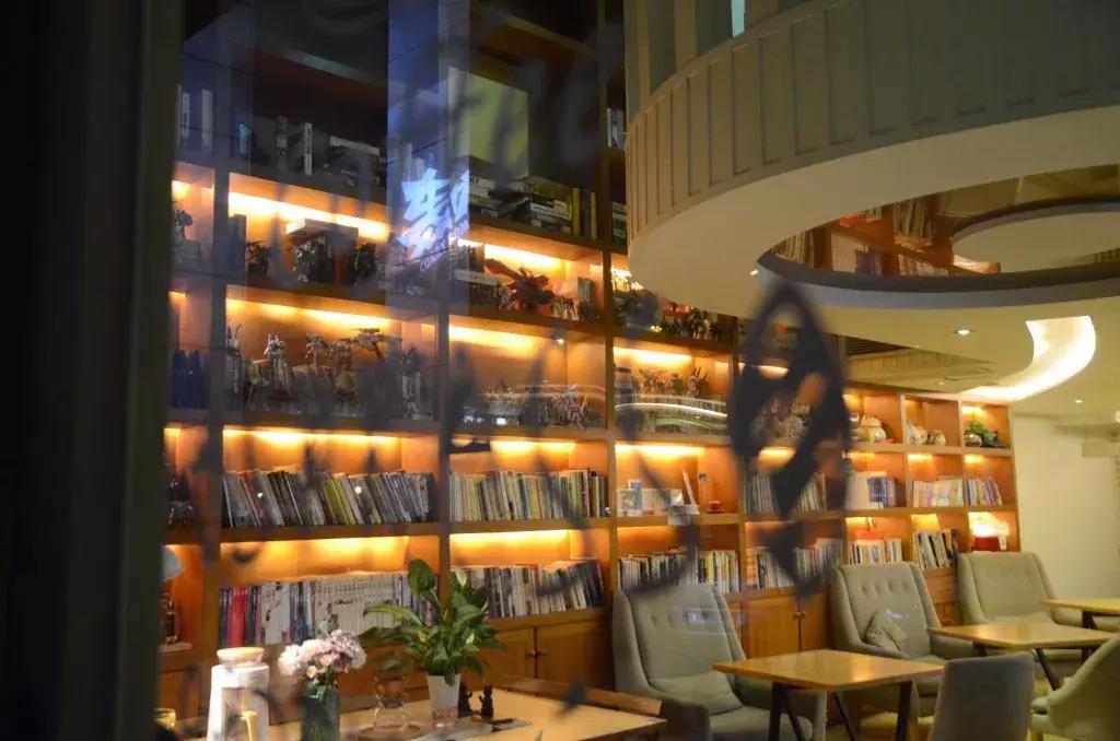 杭州可以撸猫的店,杭州撸猫地方推荐