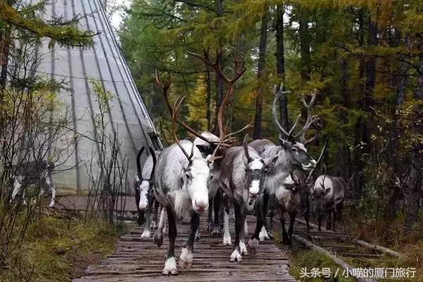 中国最美少数民族村寨,少数民族特色村寨民俗旅游