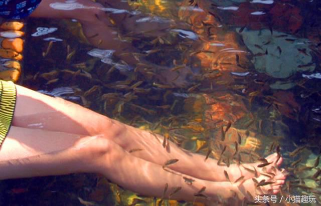 广东清远市英德奇洞温泉度假村,英德望埠奇洞温泉度假门票2021