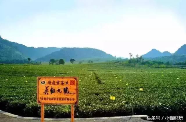 广东清远市英德奇洞温泉度假村,英德望埠奇洞温泉度假门票2021