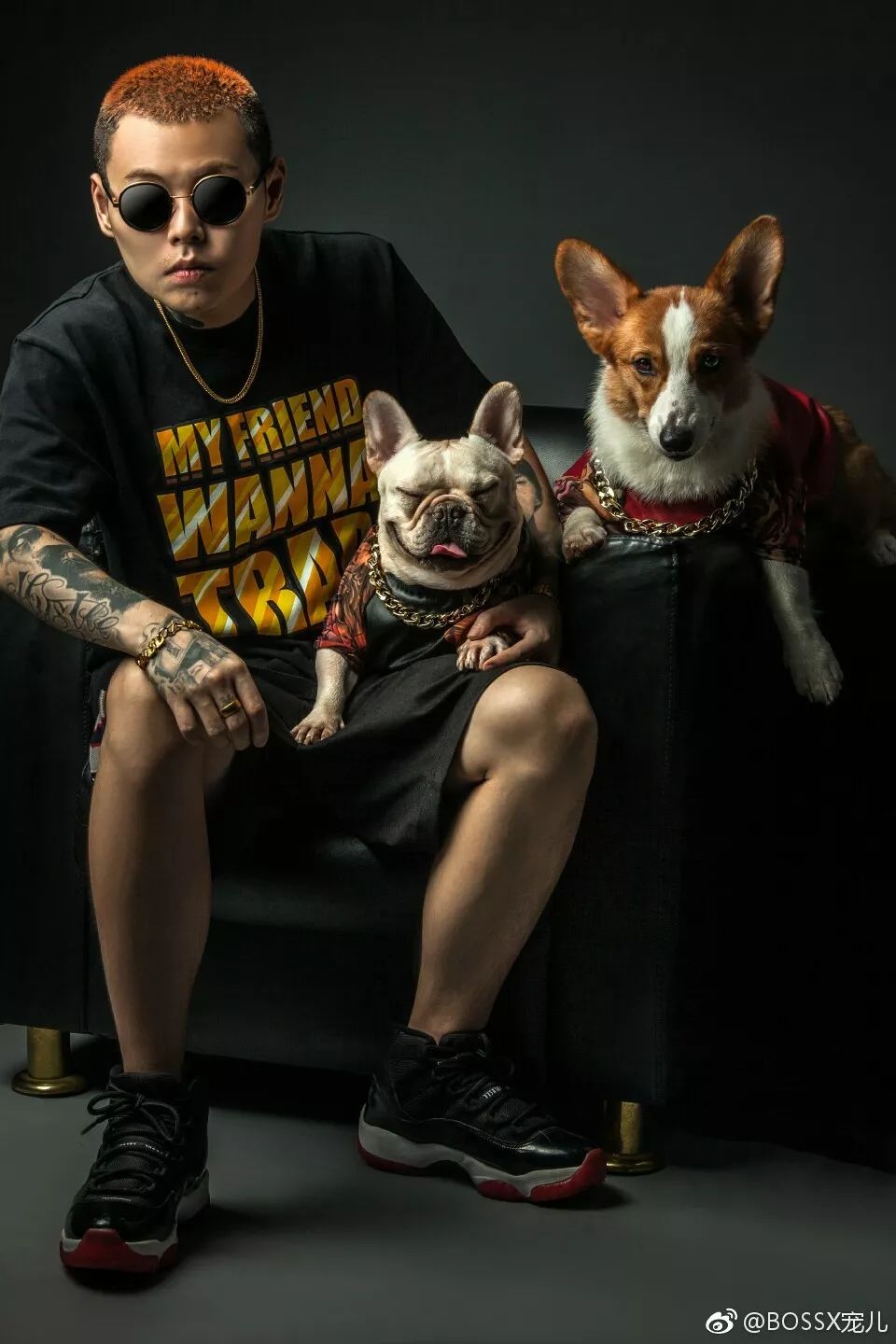 谢帝今年专辑,谢帝今年发布多少歌