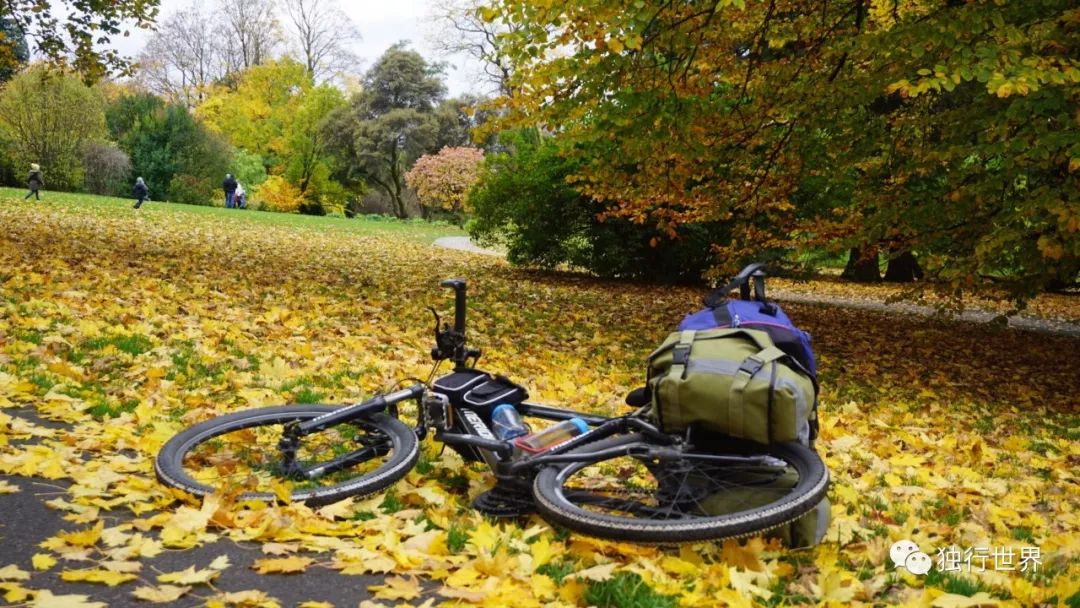 当你还在为生活抱怨,当你还在抱怨生活不易的时候