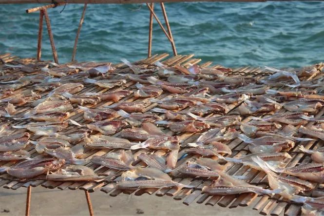 从三亚自驾海口沿途游玩最佳路线,海口自驾三亚旅游路线图攻略