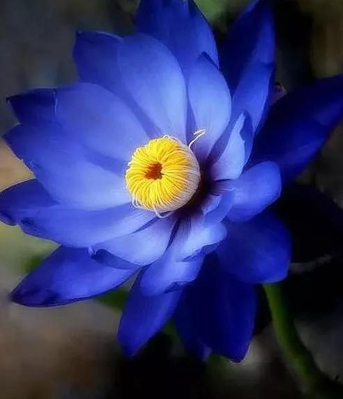 好用又便宜的老牌国货推荐,国货品牌超级好用