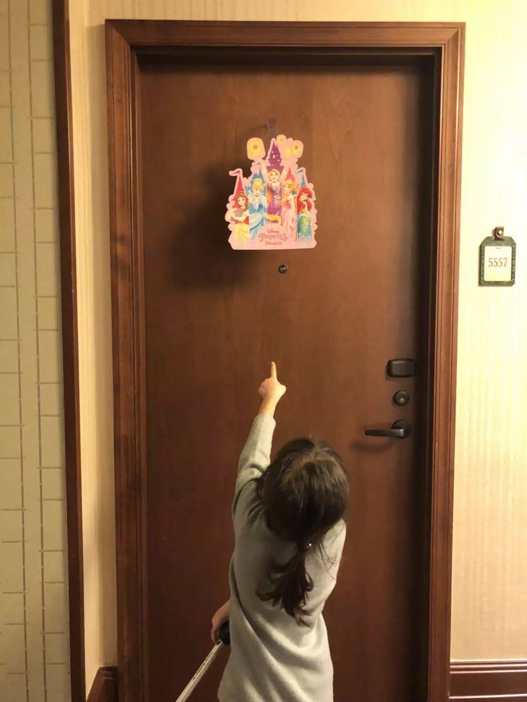 香港迪士尼攻略一日游最新版,香港迪士尼游玩全攻略路线推荐