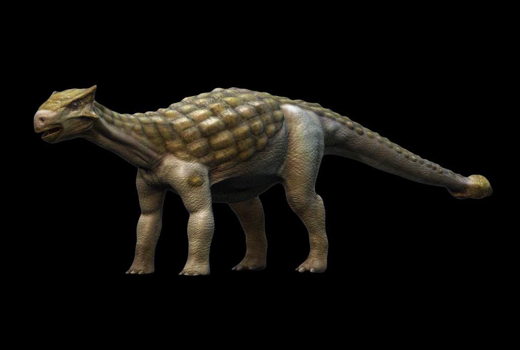 十大最著名的恐龙,盘点我国最著名的十大恐龙