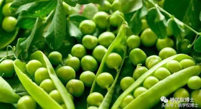 何为发物的图片,何为发物的意义