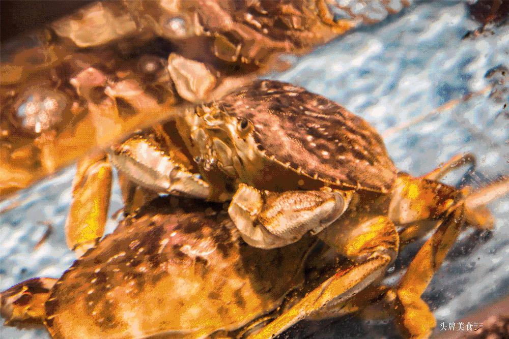 娉夊窞甯傚尯鍝簺姣旇緝濂界殑娴烽矞閰掓ゼ,娉夊窞娴烽矞缇庨鎺掕姒滃墠鍗佸悕