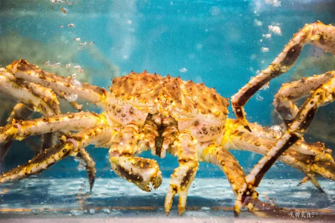 娉夊窞甯傚尯鍝簺姣旇緝濂界殑娴烽矞閰掓ゼ,娉夊窞娴烽矞缇庨鎺掕姒滃墠鍗佸悕