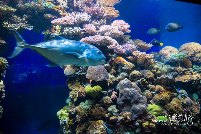 以色列三千年历史,以色列穿越时空项目