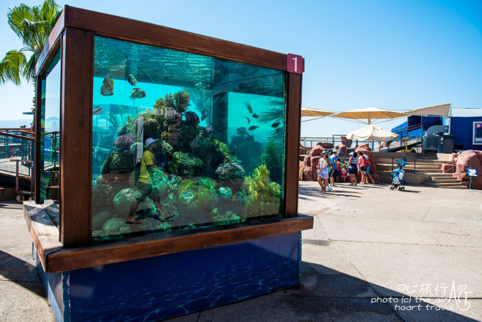 以色列三千年历史,以色列穿越时空项目