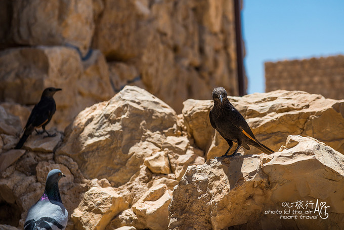 以色列三千年历史,以色列穿越时空项目