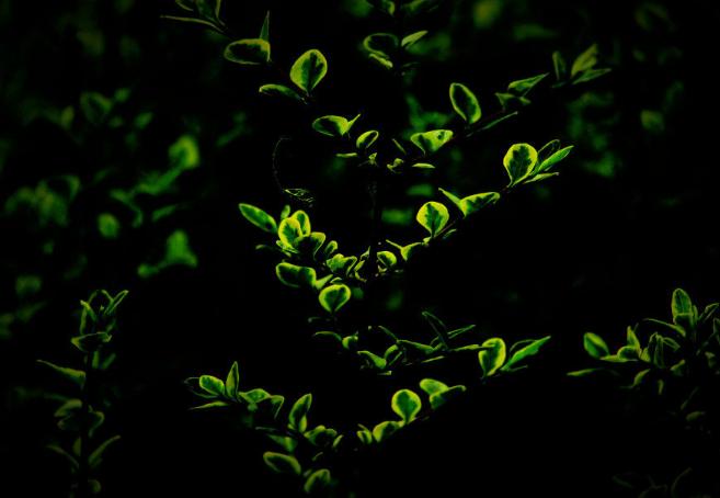 茅侃侃自杀拷问创业者,什么是创业?什么是成功?