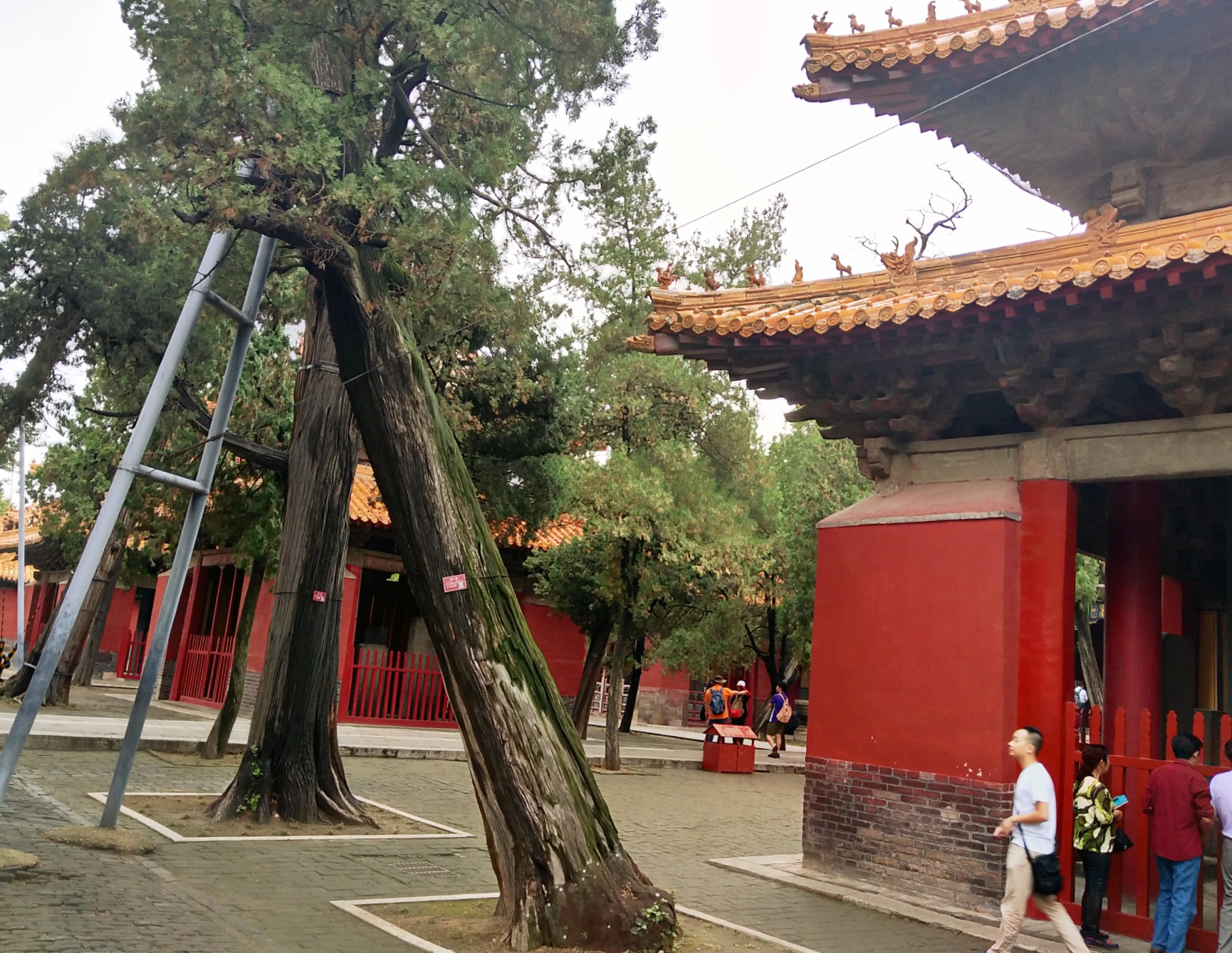 曲阜孔庙旅游攻略图片欣赏,曲阜孔庙景点简介图片高清