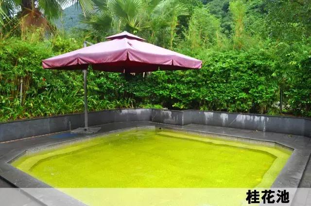 新丰云天海森林峡谷温泉好不好,新丰云天海温泉度假村蝴蝶谷